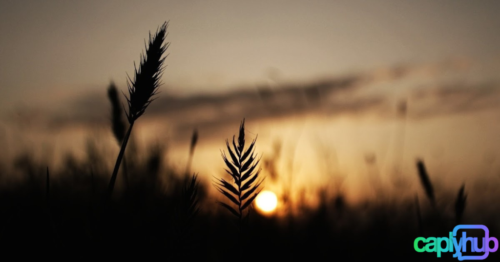 300+ Nature Captions for Instagram (Short, Funny, Aesthetic, Sunset & Adventure Quotes)