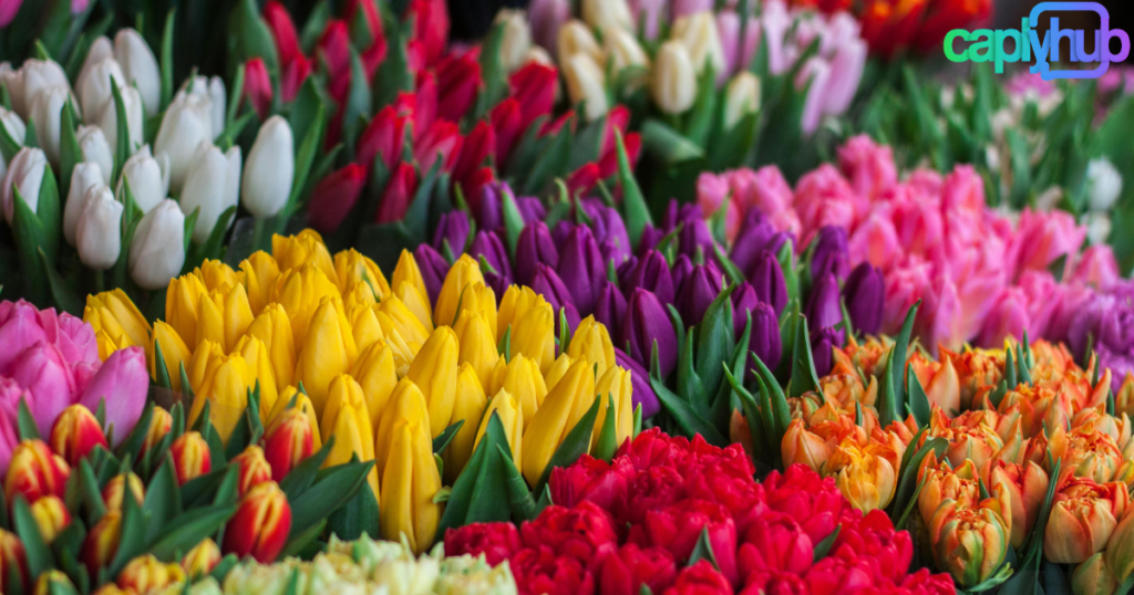 Best Flower Captions and Quotes for Instagram to Make Your Posts Bloom